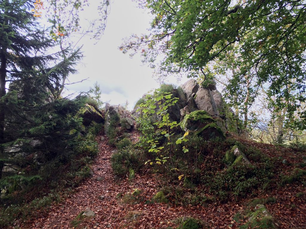 Mittem im Nationalpark